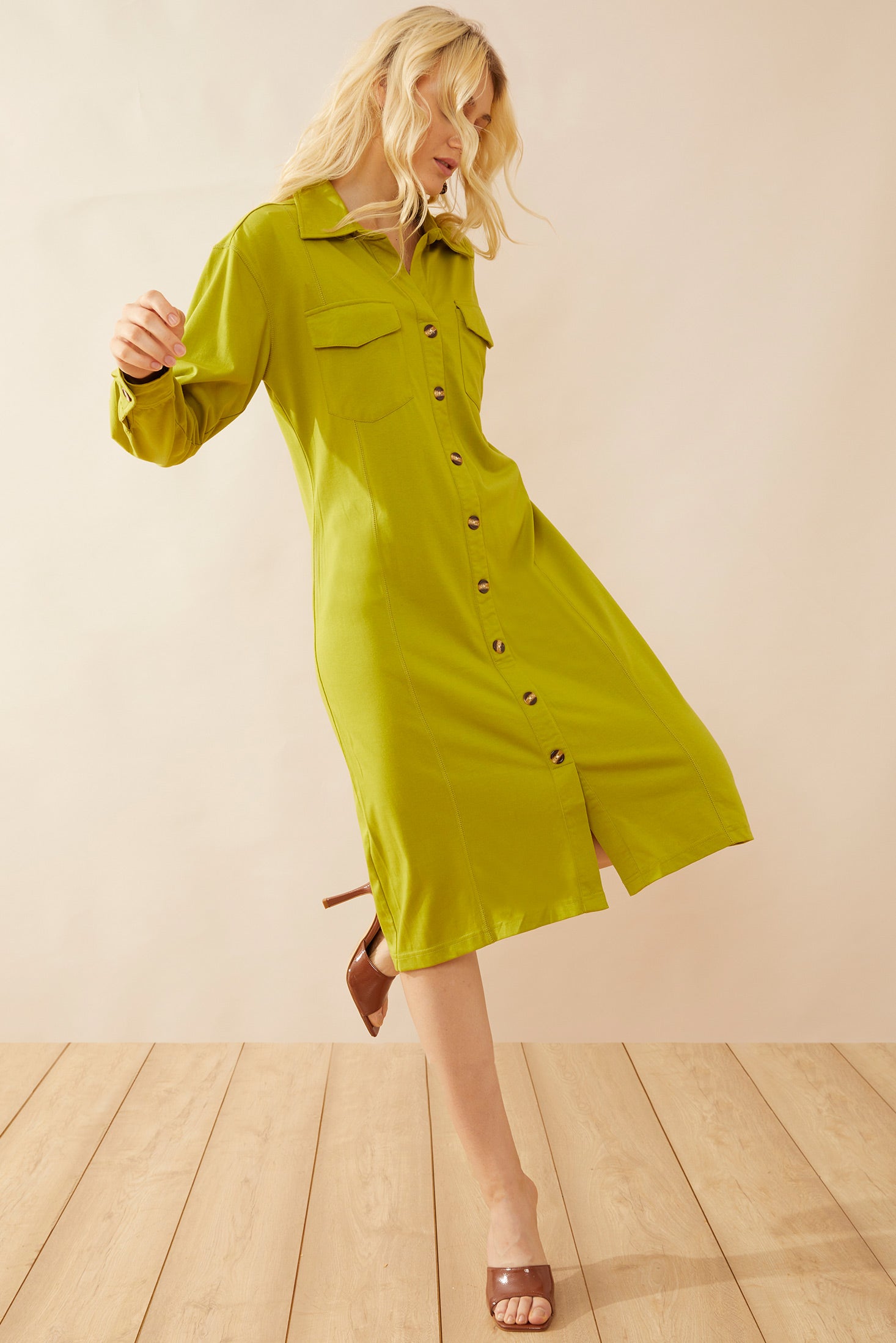 Georgeanna Shirt Dress