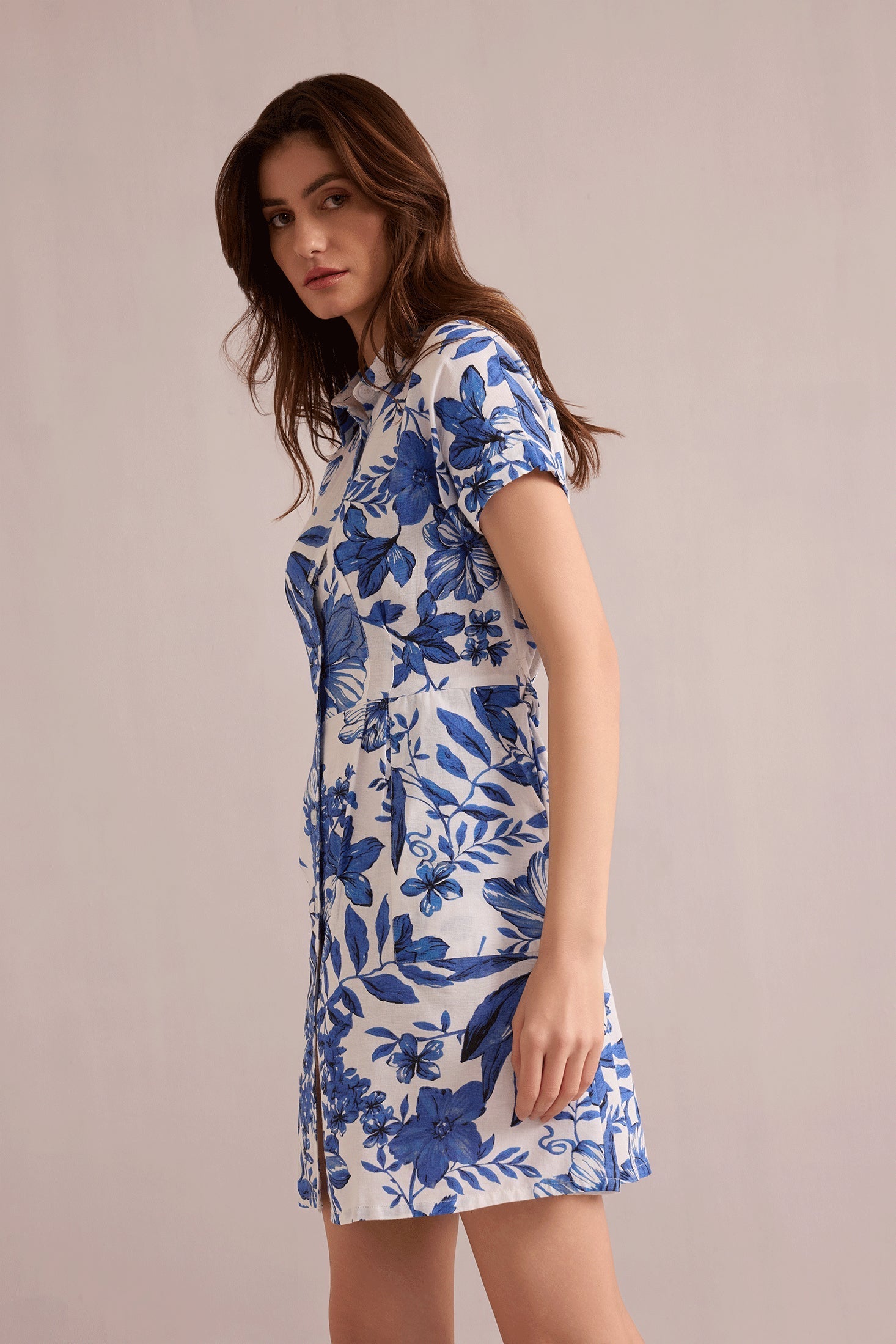 Alyssa's Garden Shirt Dress In Blue and White